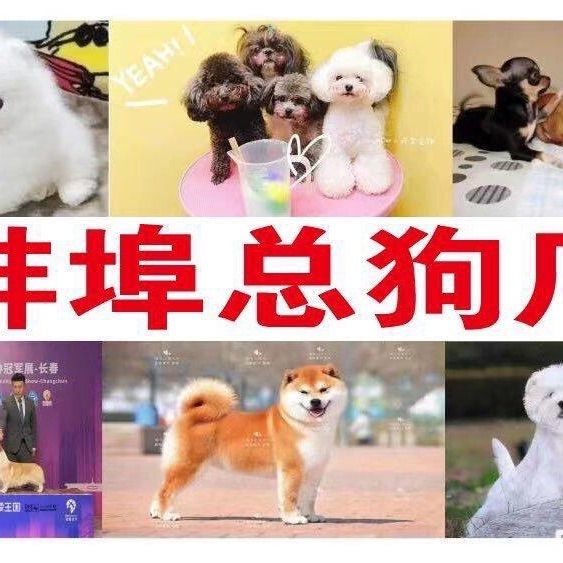 店主头像