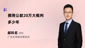 挪用公款20万大概判多少年