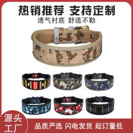 跨境热销宠物项圈中大型印花光板狗项圈舒适衬底反光户外训练狗绳
