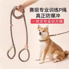 狗狗绳子防爆冲P链遛狗牵引绳防挣脱狗链子中大型犬防爆冲拴狗绳