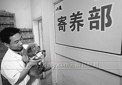 黄金周出游狗狗谁来看