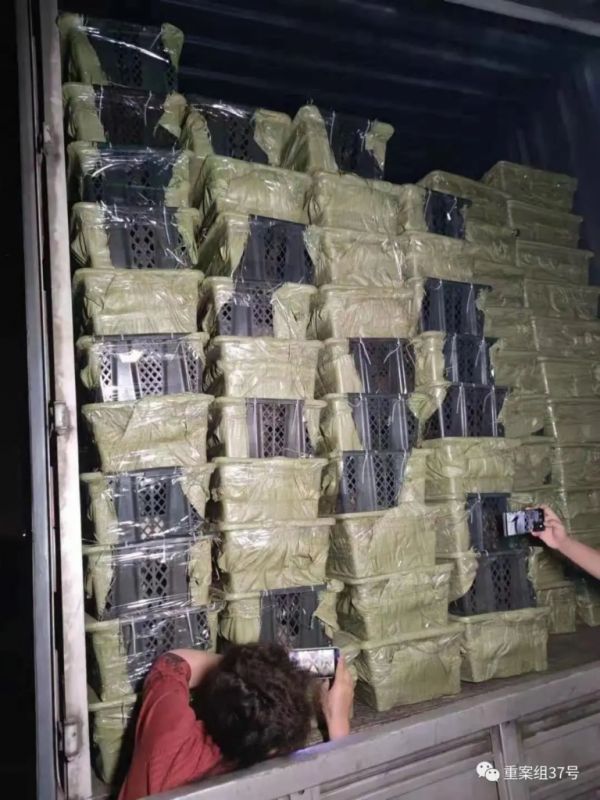快递不能邮寄宠物,那正规的托运应该是怎样?
