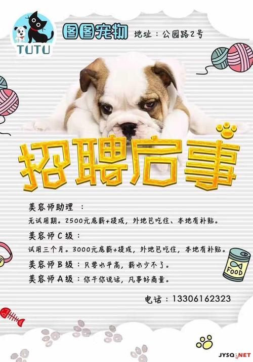 宠物服装设计模特招聘_宠物服装设计模特招聘信息