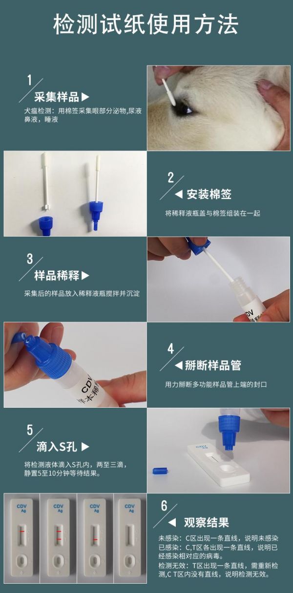 犬瘟热检测卡使用步骤图示
