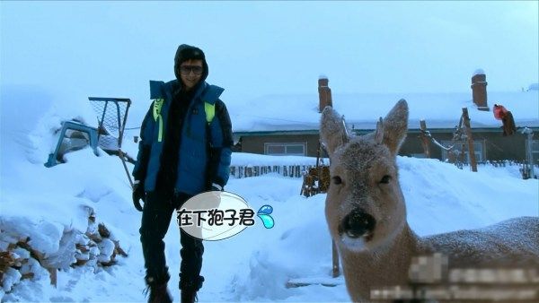 点击查看高清原图