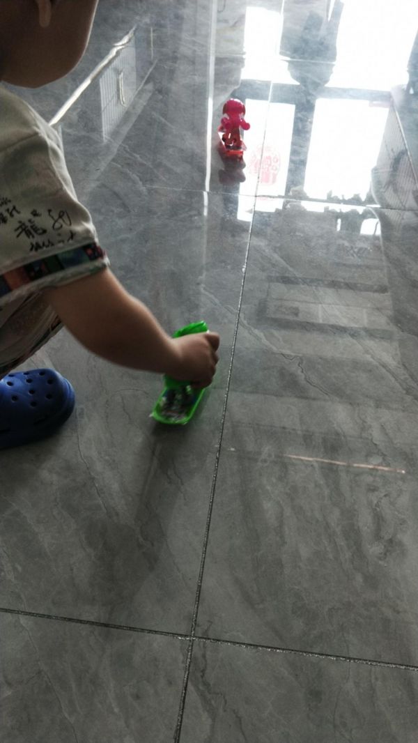 狗狗滑板车比赛开始啦！