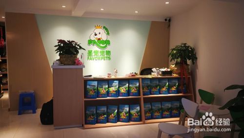 宠物医疗及宠物美容的发展前景