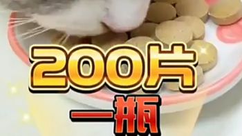 唯特医生维生素宠物犬猫咪狗狗专用复合多种维b族维特营养猫草