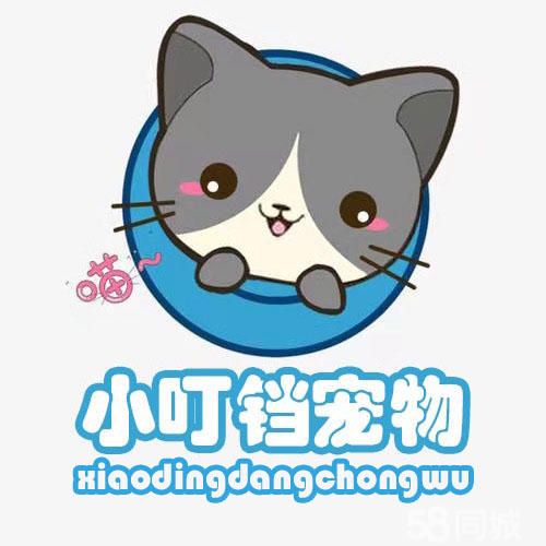 店主头像