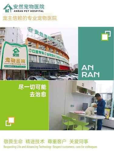 南宁探店|安然宠物医院，靠谱力荐