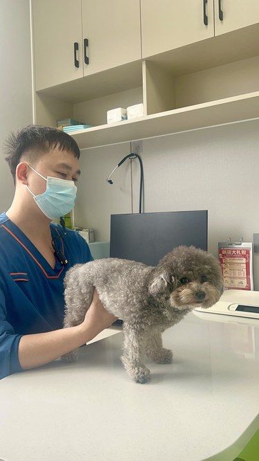 南宁这家宠物医院我强推！！！q