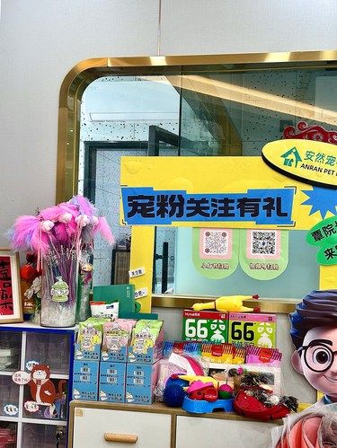 南宁铲屎官全都看过来！！！