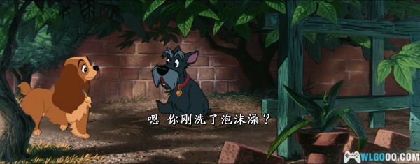 动画 小姐与流浪汉[国英多音+简繁字幕] 1080P高清修复下载｜两只小狗狗的爱情故事-图5-围炉Go网站
