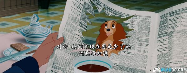 动画 小姐与流浪汉[国英多音+简繁字幕] 1080P高清修复下载｜两只小狗狗的爱情故事-图4-围炉Go网站