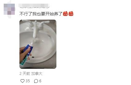 继养纸盒狗、石头、牙膏后，年轻人开始养黏菌当宠物了！