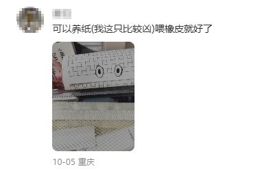 继养纸盒狗、石头、牙膏后，年轻人开始养黏菌当宠物了！