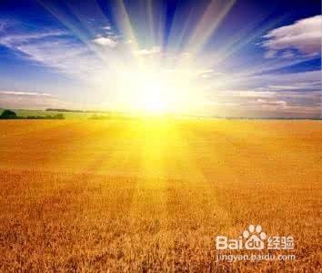 养仓鼠要注意哪些问题，你不能不知