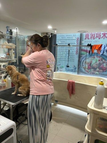 宝藏宠物店