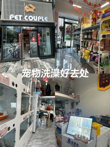 宠物洗澡真的很不错