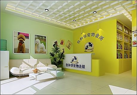 把握宠物市场趋势，开一家赚钱的宠物馆！