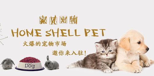 宠物市场最赚钱的是什么？解析宠物经济的创业机遇与财富密码