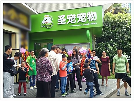 抓住宠物市场的商机，开一家赚钱的宠物店！