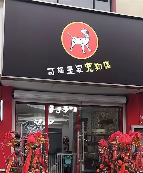 宁波宠物市场，赚钱的蓝海还是冒险的深渊？