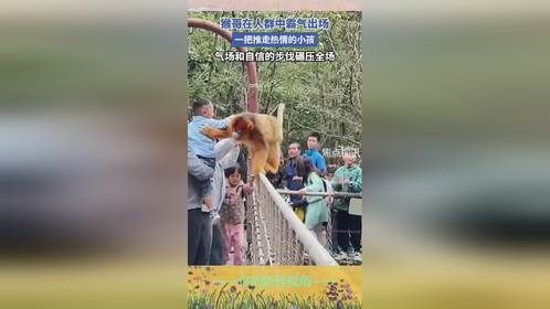 猴哥在人群中霸气出场，气场和自信的步伐碾压全场。