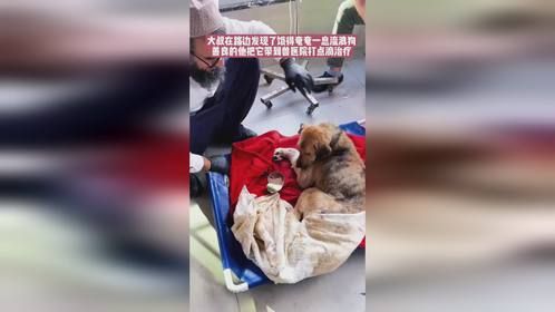大叔在路边发现了饿得奄奄一息流浪狗，善良的他把它带到兽医院
