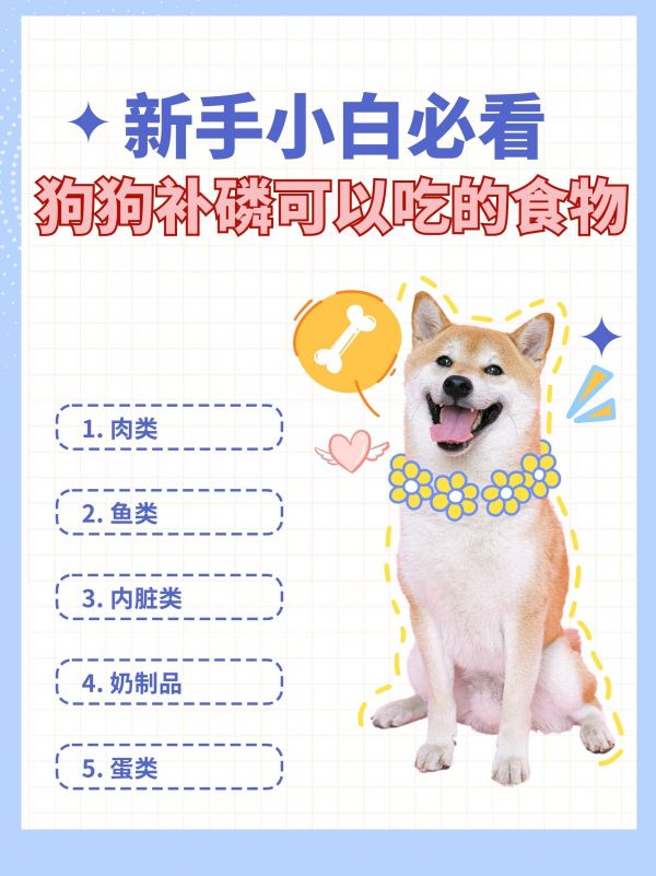 狗狗补磷可以吃哪些食物？。#狗狗 #养狗经验分享 #狗狗补充维生素 #科学养宠攻略 #萌宠