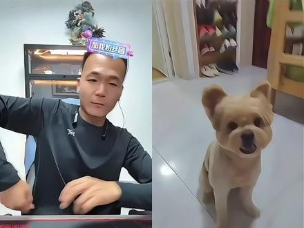 最有梗的狗主人，和潘宏连麦给我出来定制款狗粮包装#潘宏爱玩狗 #直播名场面