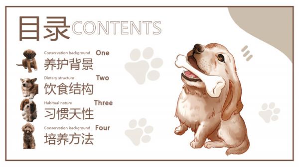 宠物养护护理知识培训PPT