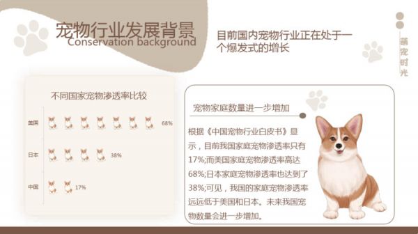 宠物养护护理知识培训PPT