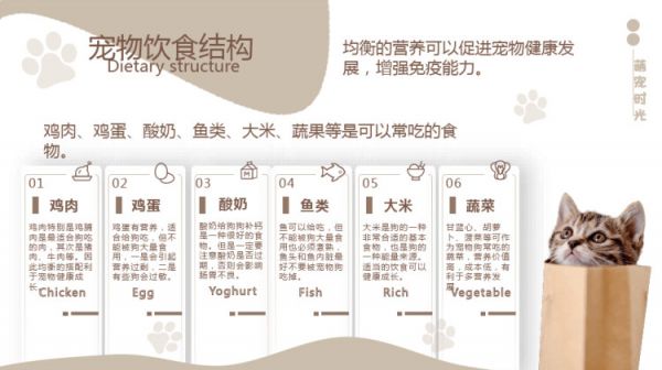 宠物养护护理知识培训PPT