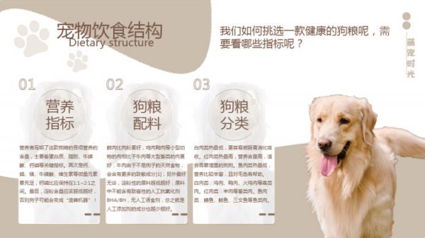 宠物养护护理知识培训PPT