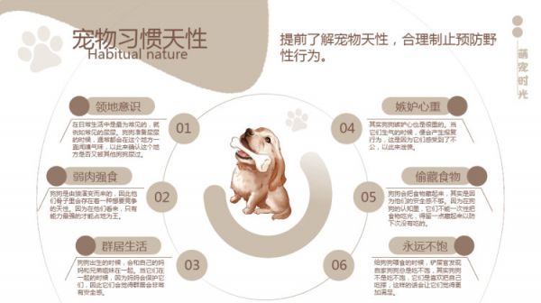 宠物养护护理知识培训PPT