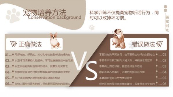 宠物养护护理知识培训PPT
