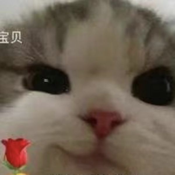 店主头像
