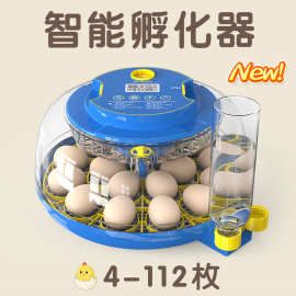 跨境外贸亚马逊全自动小型电动智能家用宠物养殖恒温孵化器孵化机
