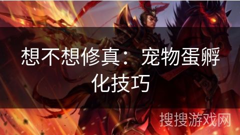想不想修真：宠物蛋孵化技巧