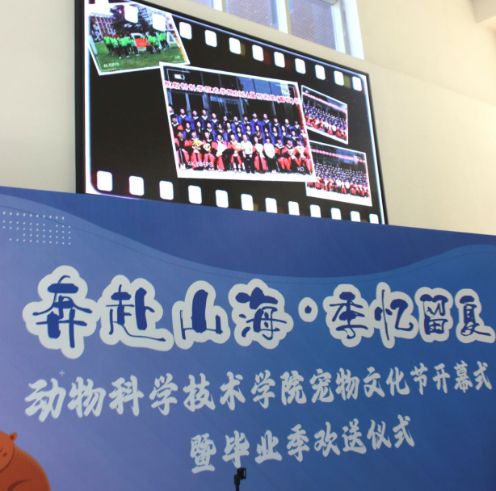 奔赴山海•季忆留夏│动科学院举办第十二届宠物文化节暨毕业季欢送仪式「相关图片」
