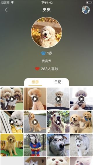 宠记iPhone版