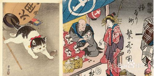 盘点古老的猫咪品种，个个都是“老顽童”！