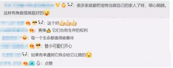 新星牌宠物车方便你的未来生活宠物医疗渐成趋势