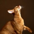 https://p1.meituan.net/userheadpicbackend/fcb670e02fab3aad2858620bfe063c17325137.jpg%40120w_120h_1e_1c_1l%7Cwatermark%3D0