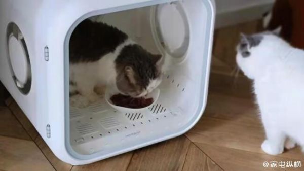 猫猫狗狗或许比我们更先住上智能“房子”，智能宠物用品在海外走红
