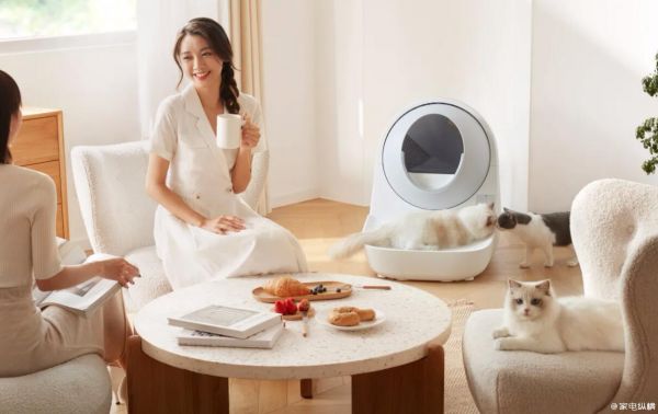 猫猫狗狗或许比我们更先住上智能“房子”，智能宠物用品在海外走红