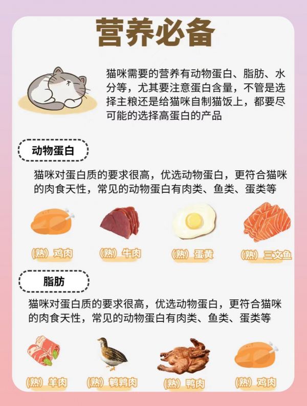 对猫咪有益的食物（日常篇）猫咪作为肉食性动物，自然就离不开健康美味的肉肉啦！ 在结合主人的科学喂养，搭配新鲜蔬菜、水果，这样猫咪才能够更长寿哦！ #科学养宠攻略 #宠物知识 #养猫经验分享