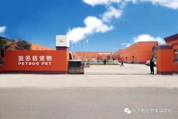 宠物美容师钱景可观，时尚进阶技术你需要了解一下