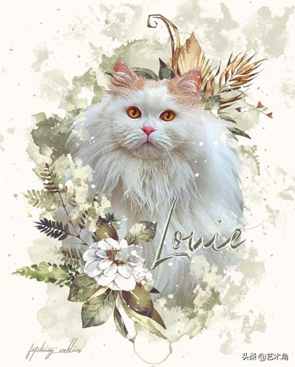 他居然把宠物画得如此唯美灵动，精美梦幻